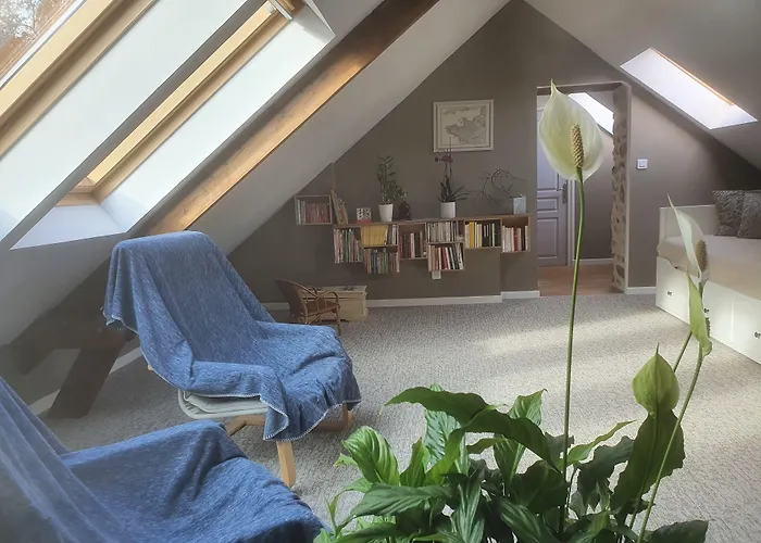 Bed & Breakfast Graine De Reves Saint-Sauveur-la-Pommeraye